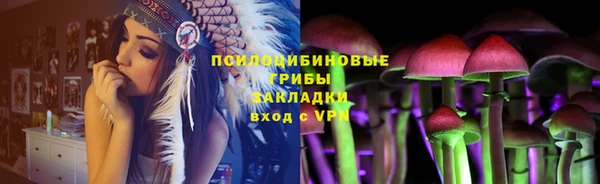 МДПВ Магадан