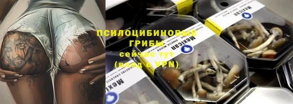 прущая мука Магас