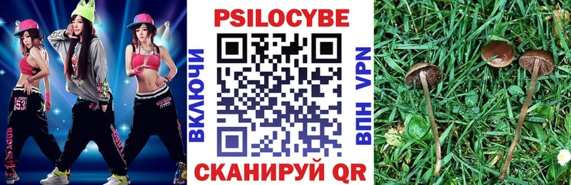 Псилоцибиновые грибы прущие грибы Купить Киров